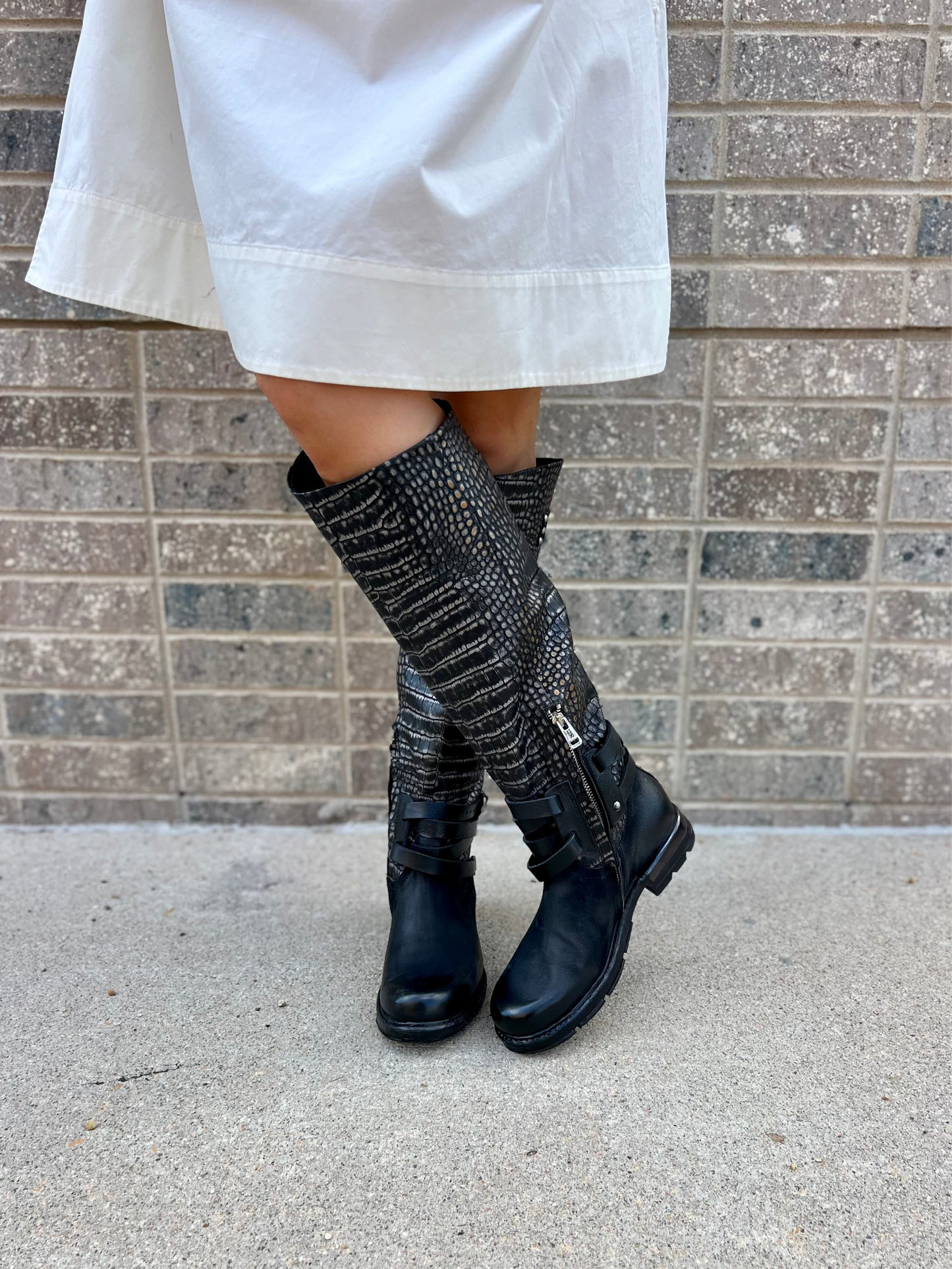 Arnie in Black Croc