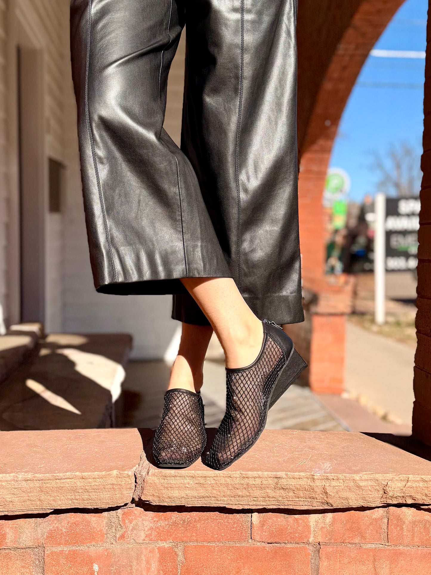 Stunning Mesh Wedge in Black