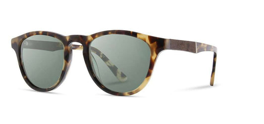Francis in Havana/Elm Burl (Polarized)