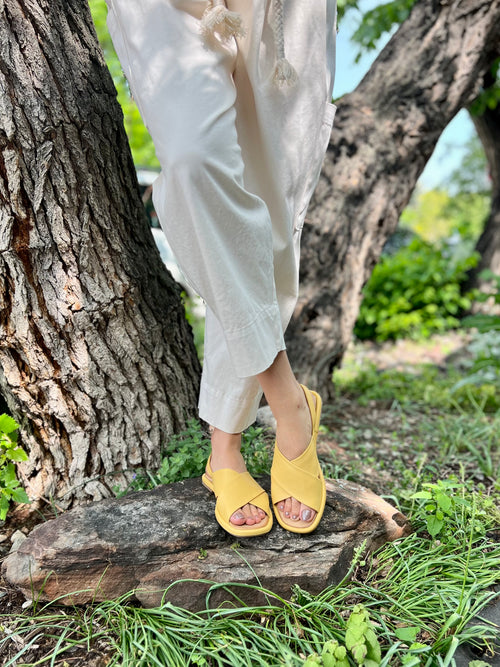 Elwood in Mustard