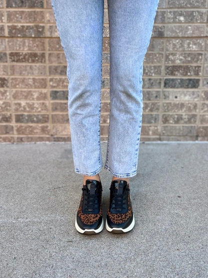 Galicia in Black/Leo