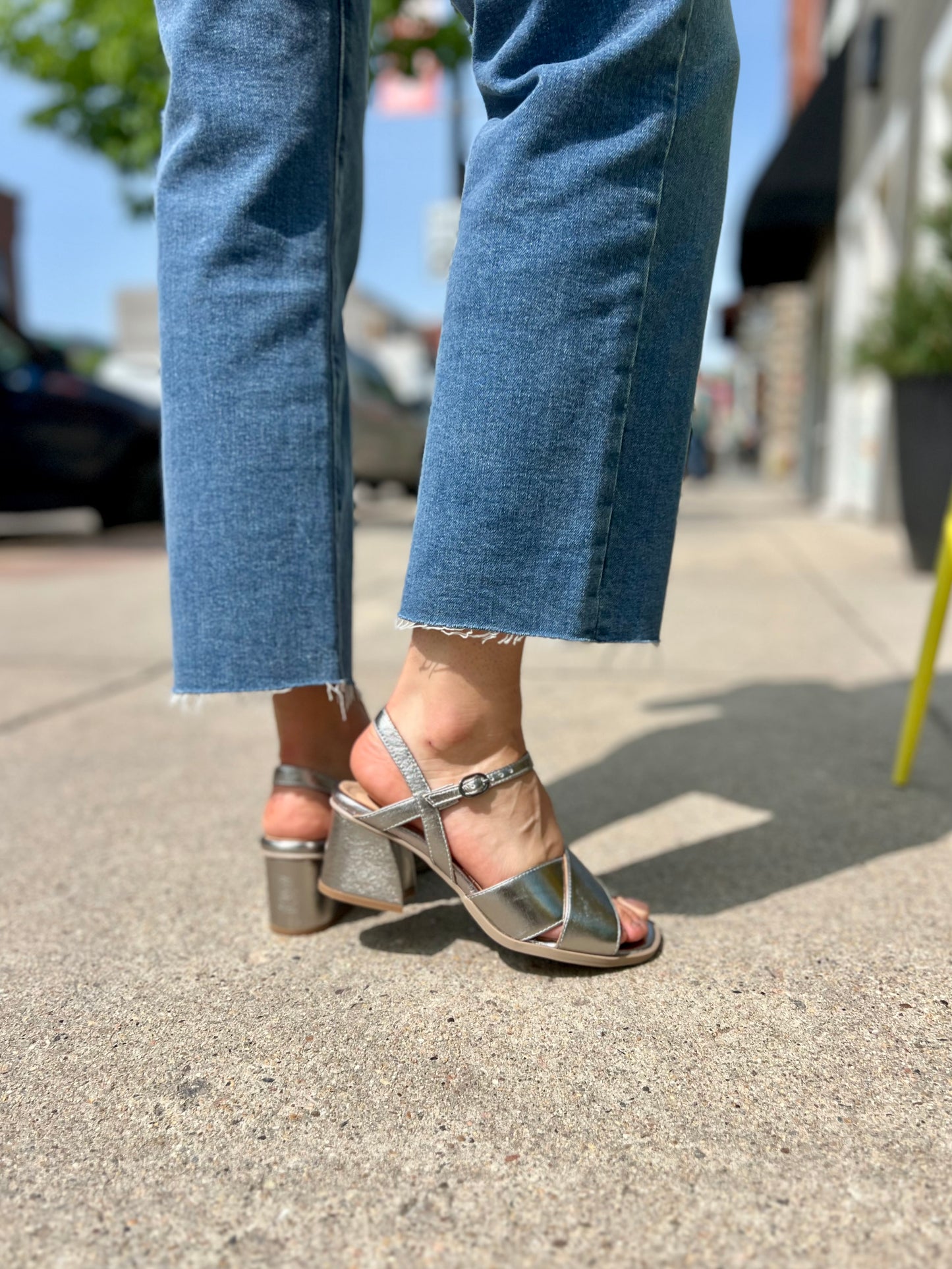 Palmer in Dark Silver