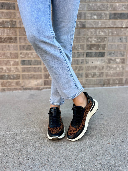 Galicia in Black/Leo