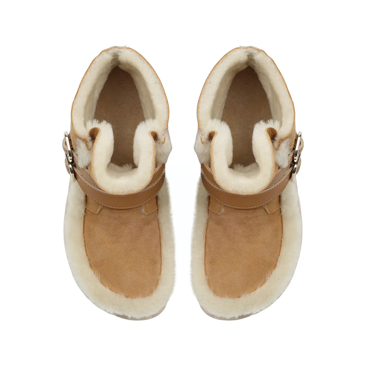 Jabara Monti in Camel