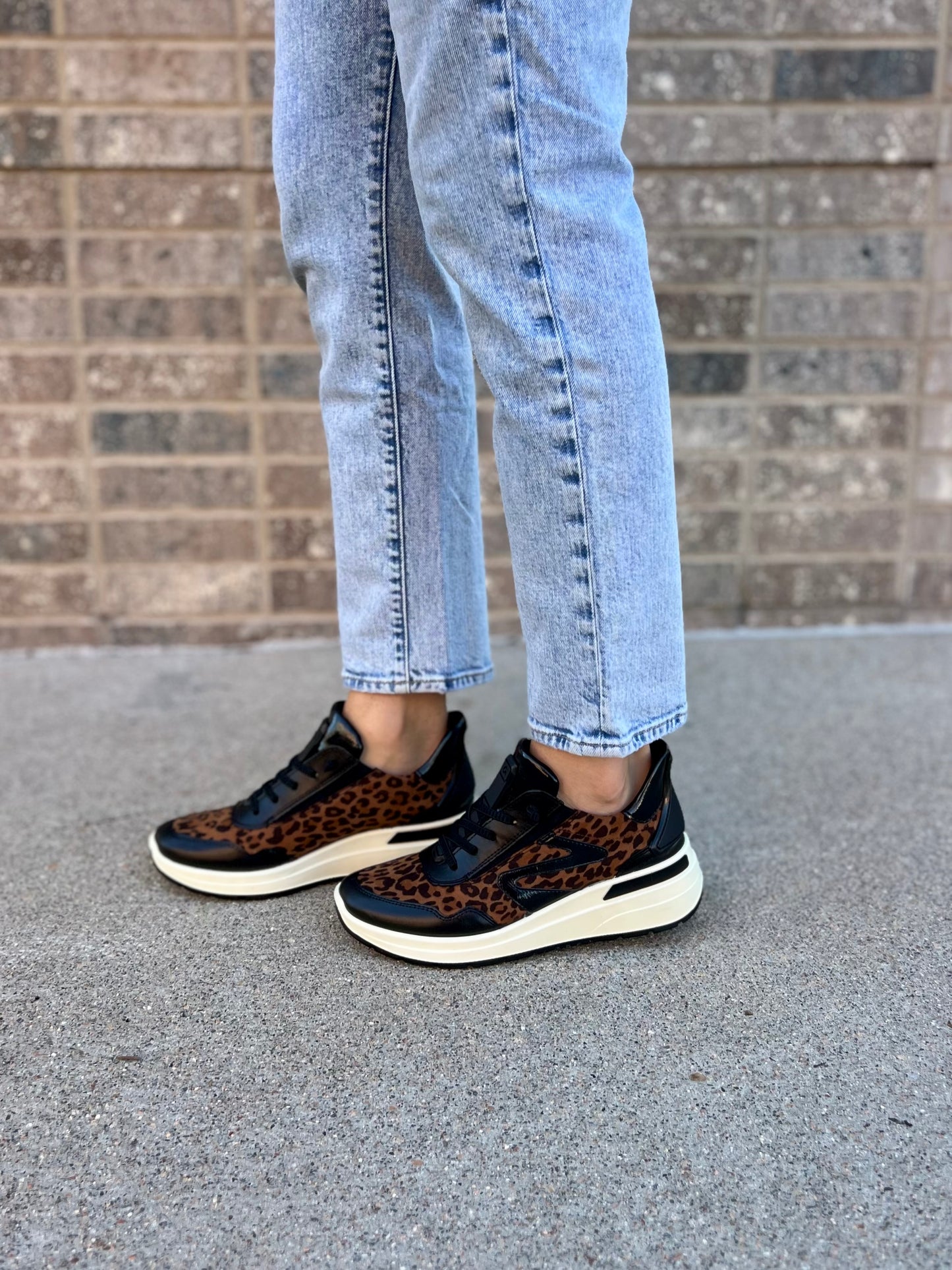 Galicia in Black/Leo