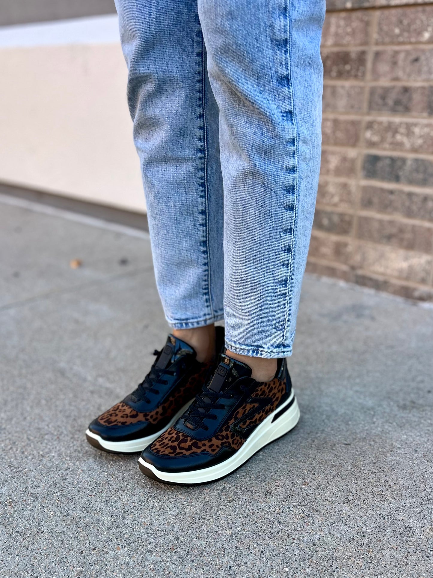 Galicia in Black/Leo