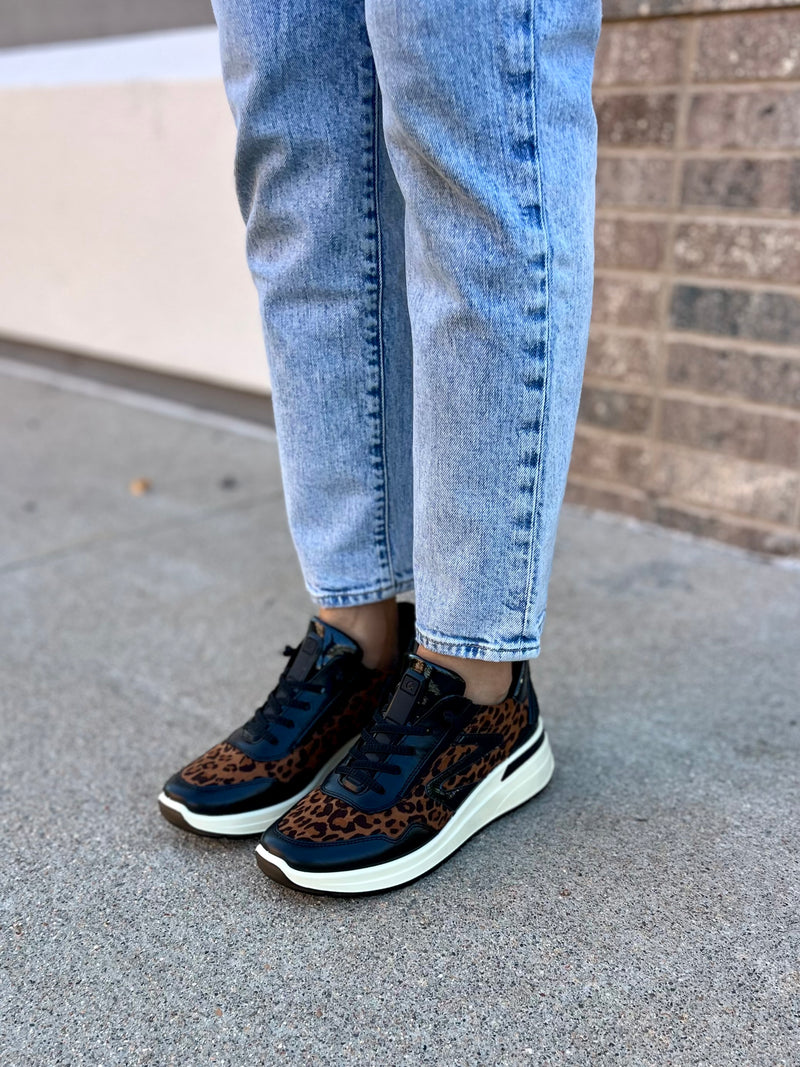 Galicia in Black/Leo