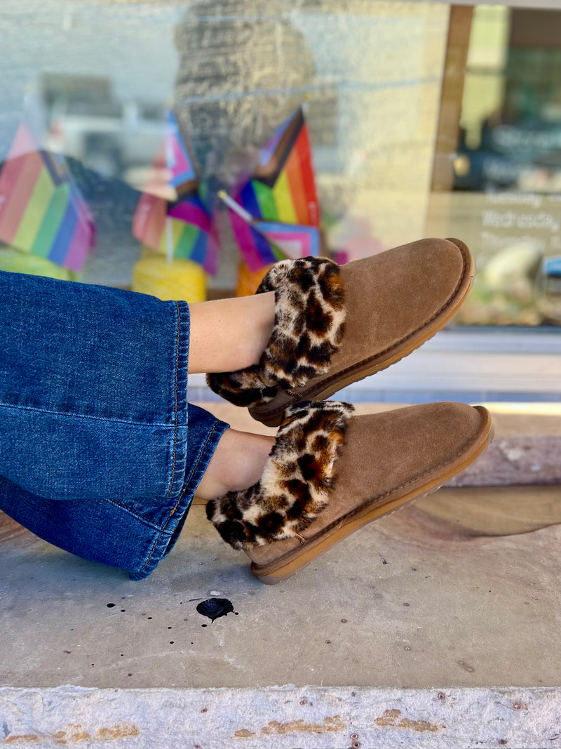 Baia Bow in Chestnut