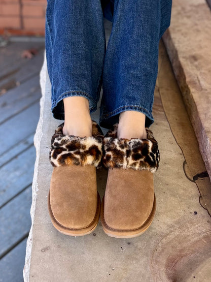 Baia Bow in Chestnut