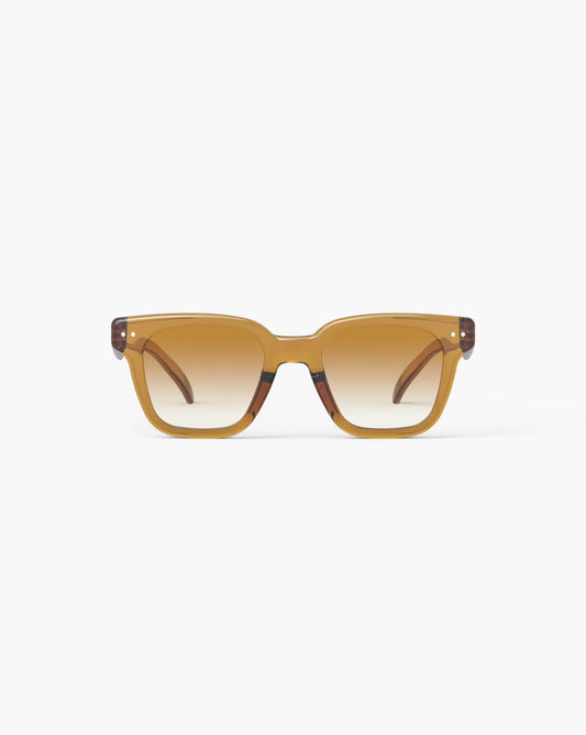 ROAD Sunglasses in Golden Canyon