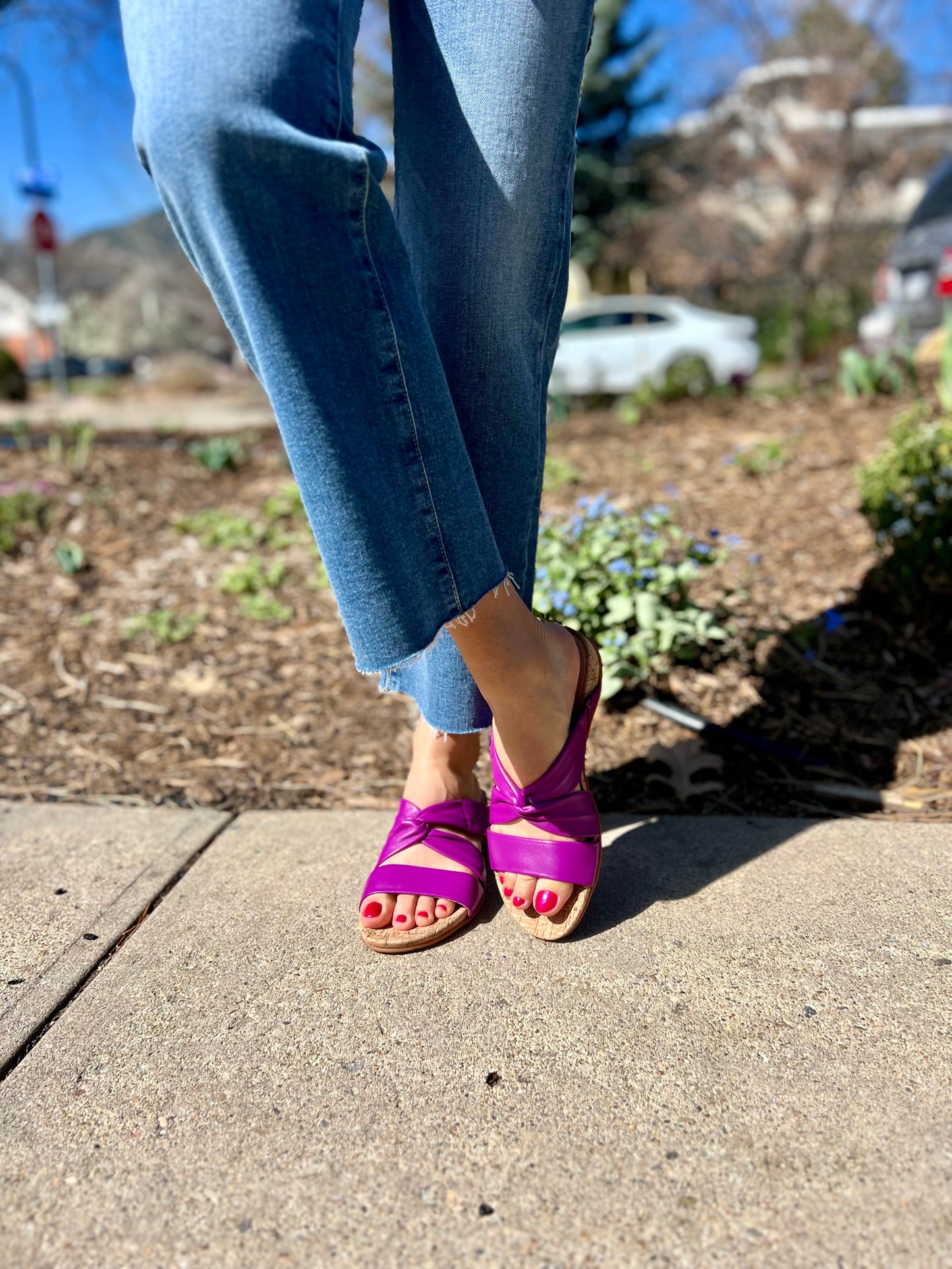 Tallulah in Magenta