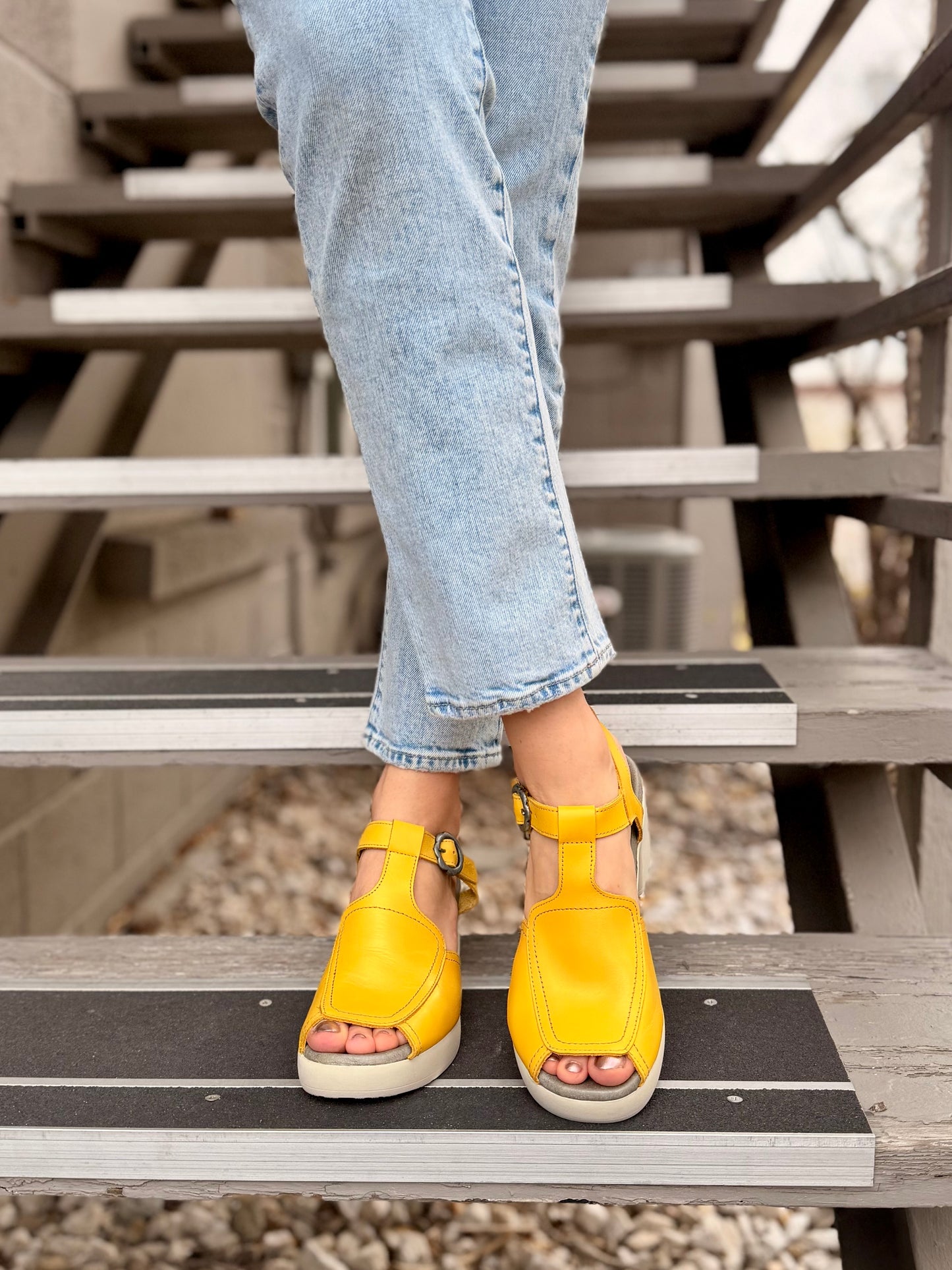 Flig in Yellow
