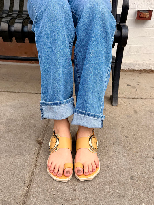 Follin Torus in Skin