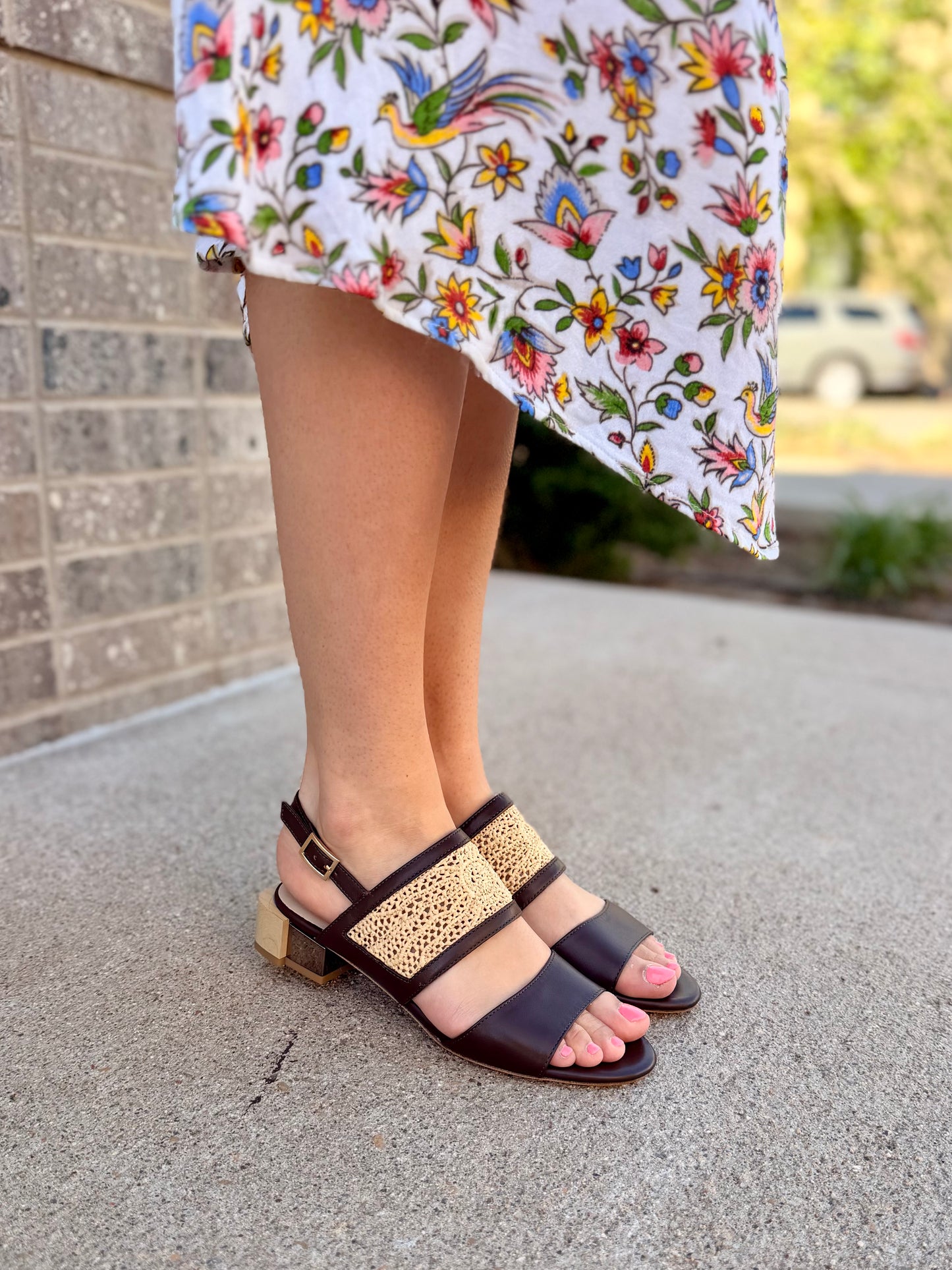 Harmony in Brown