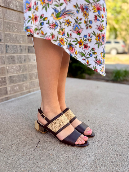 Harmony in Brown