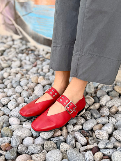 Zephyr in Red