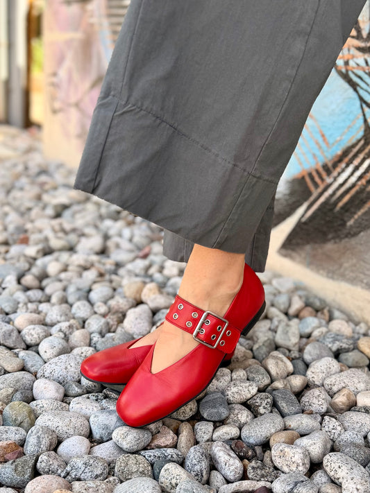 Zephyr in Red