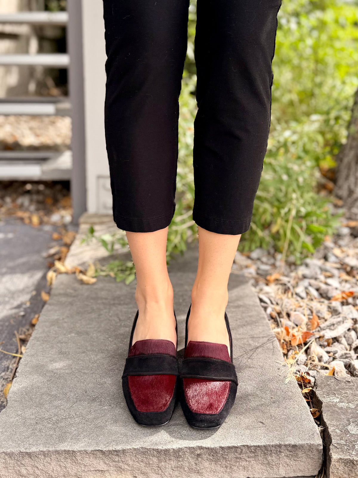 Wild Block in Black/Wine
