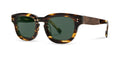 McKay in Jaguar (Polarized)