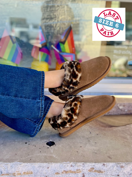 Baia Bow in Chestnut