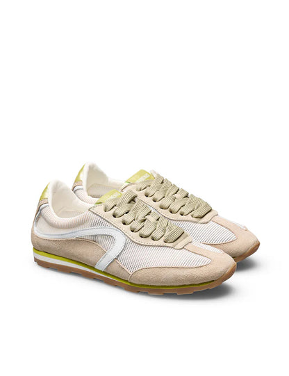 Jamaica Herai in Oyster