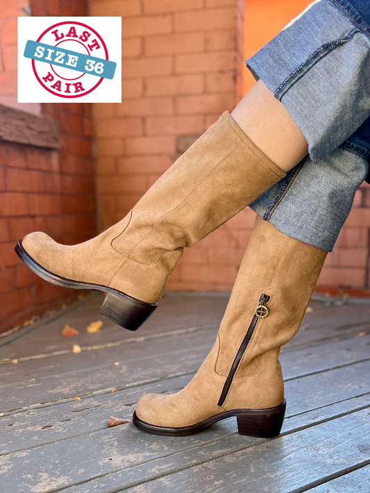 Molly in Camel