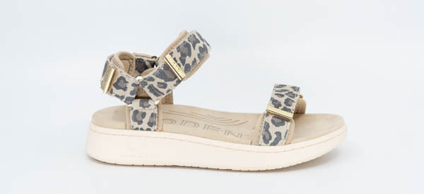 Line in Leopard