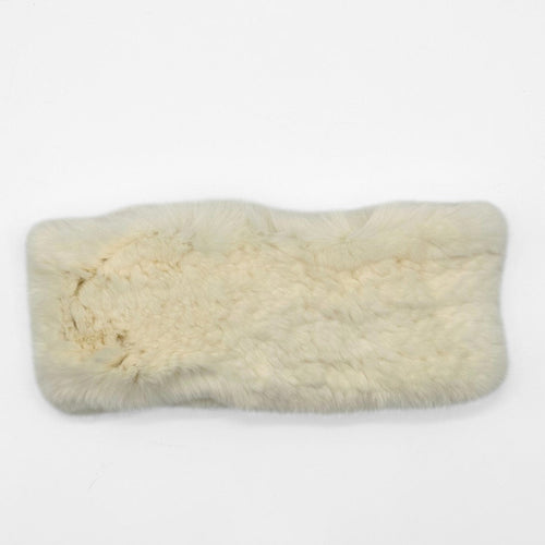 HB-152 in Winter White
