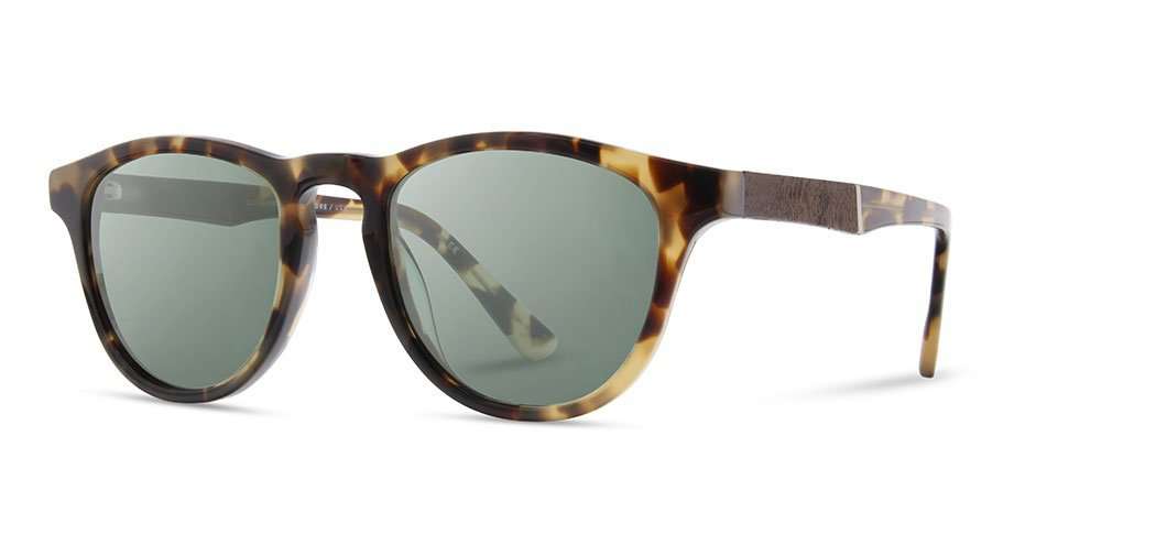 Francis in Havana/Elm Burl (Polarized)