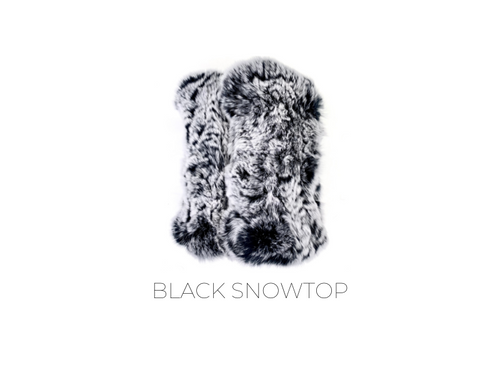 HW-01 in Black/Snowtop