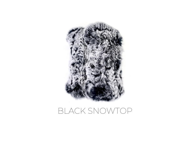 HW-01 in Black Snow